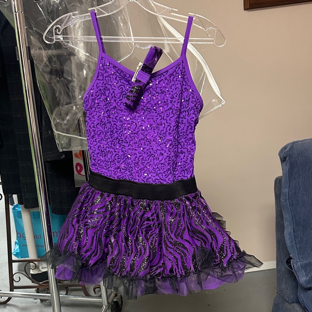 Purple Sequin Kids Costume Dress